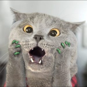 gheruțe din silicon pentru pisică